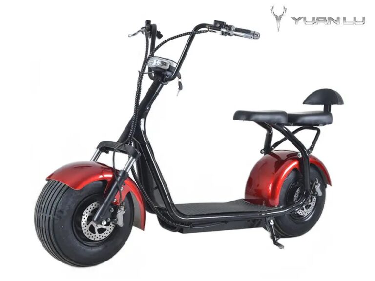2000w High Quality 2 Wheel 2 Seat Electric Motocycle Citycoco CE