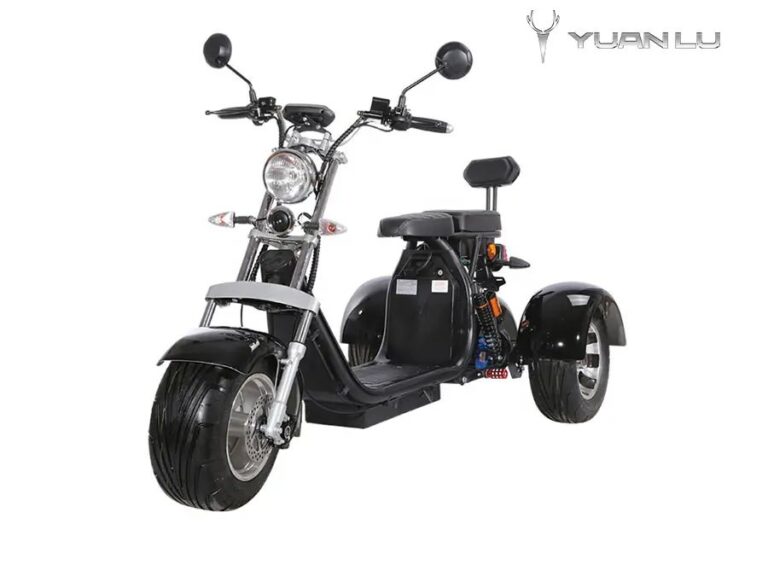 EEC Approved Electric Scooter Tricycle Citycoco 1500W 3 Wheel Fat Tire E Motorcycle 45km/h New Design