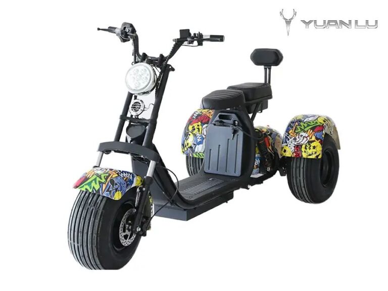 High Quality 3 Wheel Electric Motocycle Citycoco CE