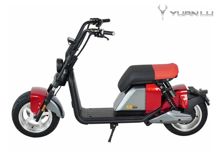 EU Registration EEC COC Electric Motocycle Citycoco Holland Warehouse