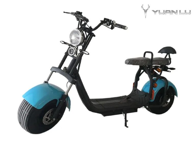 High Quality 2 Wheel 2 Seat Electric Motocycle Citycoco EEC