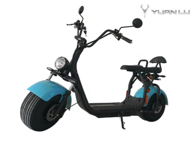 Factory OEM 2 Wheel Electric Motocycle Citycoco EEC