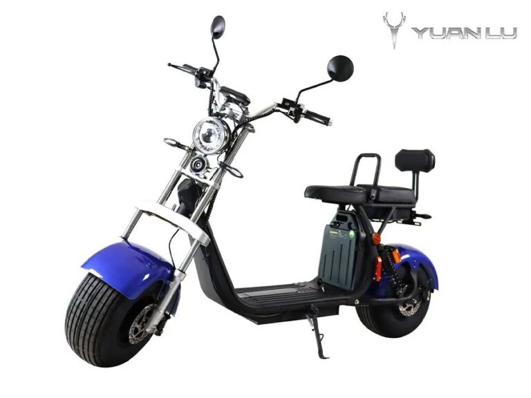 Cross Electric Motocycle Citycoco EEC Netherland Warehouse Door to Door