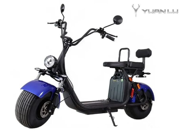 Holland Warehouse Electric Motocycle Citycoco EEC Electric Scooter
