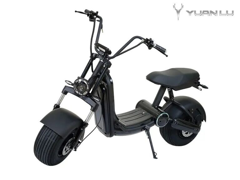 65km Electric Scooter EU Stock Electric Motocycle Citycoco EEC