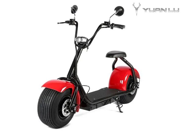 2000w Factory OEM 2 Wheel Electric Motocycle Citycoco CE