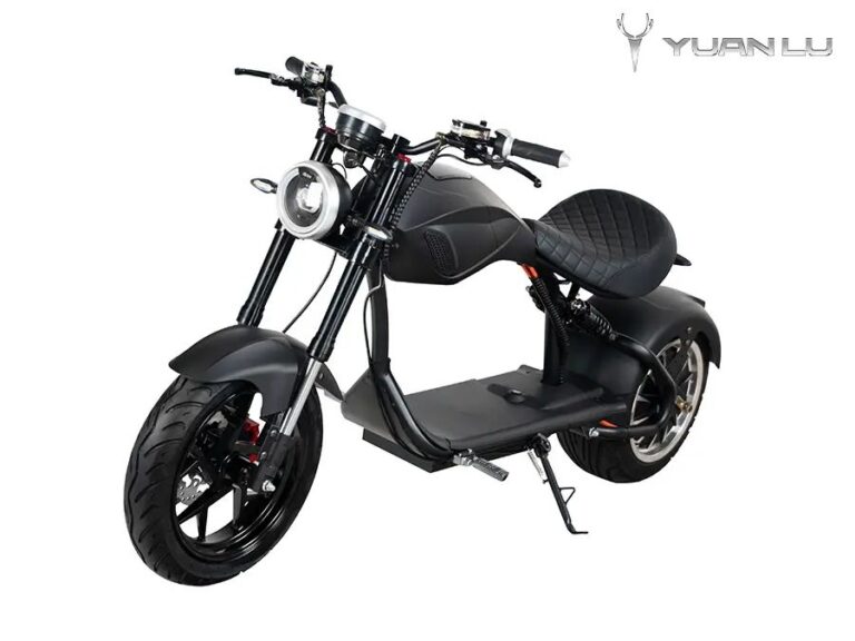 High Quality Factory OEM Electric Motocycle Citycoco CE