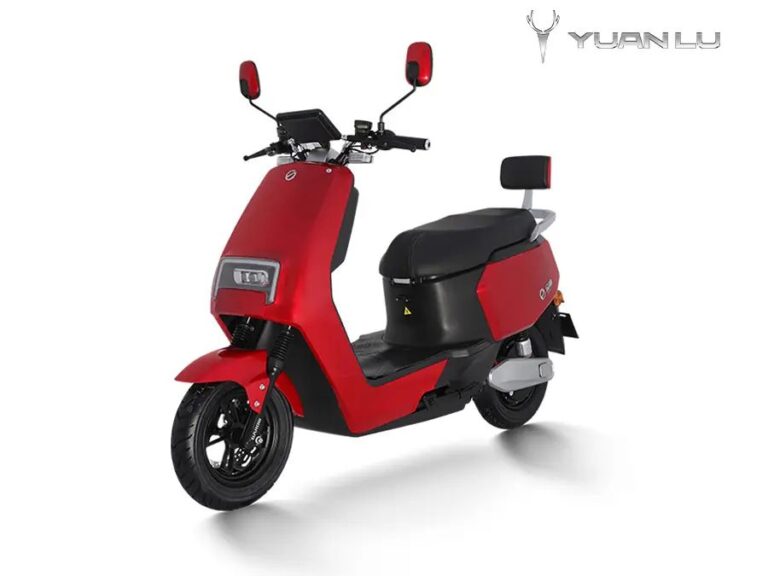 Brand New Electric Moped Scooter LCD Speedometer Double Battery City Scooter