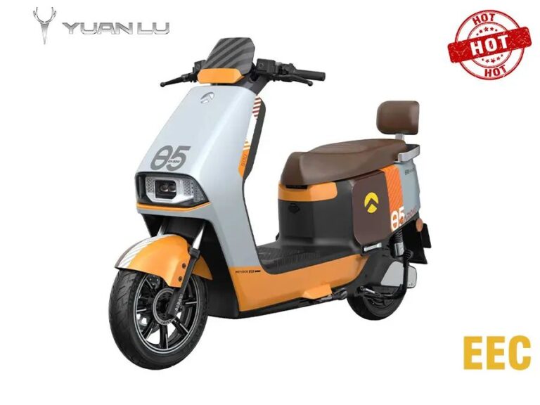 Xingmai Electric Motorcycle – EEC L1e Certified 3000W 48V110Ah High Capacity Battery | Max Speed 85km/h, 230-250km Long Range | Perfect for Transportation & Food Delivery