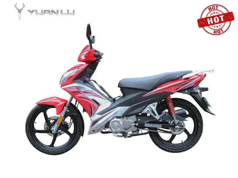 NEW 110cc Motorcycles Single Cylinder Four Stroke CDI Ignition Clutch DC Motor With Anti-theft Device