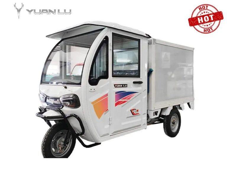 COOLCHILL Cold Chain Transport Food Preservation and Freezing -20°C to 0°C Temperature Adjustable Electric Tricycle