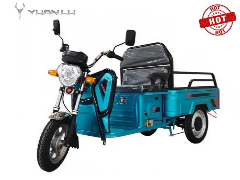 Factory Direct Sales Customize Electric Cargo Tricycle 3 Wheel Electric With 1.1m Carrige Box